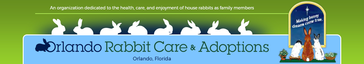 Orlando Rabbit Care & Adoptions (orca)