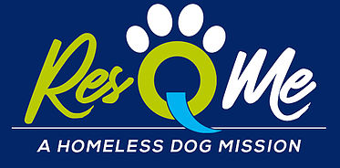 Resqme, A Homeless Dog Mission