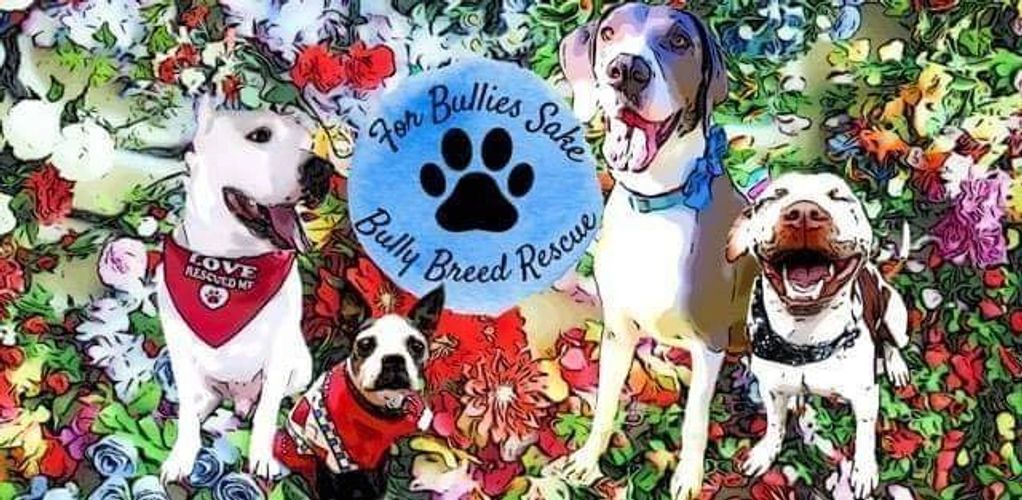 For Bullies Sake Bully Breed Rescue