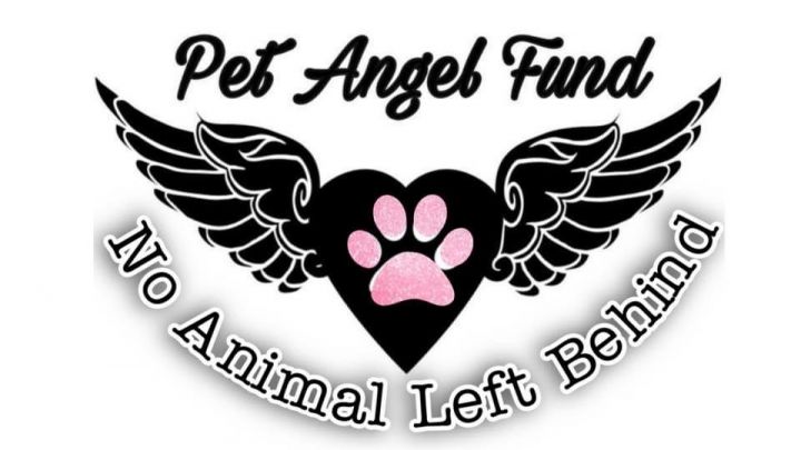 Pet Angel Fund