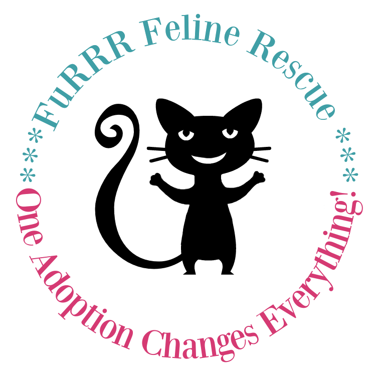 FuRRR Feline Rescue
