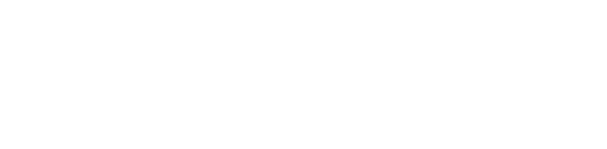 All Fur One Pet Rescue & Adoptions, Inc.