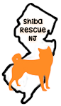 Shiba Rescue Of New Jersey