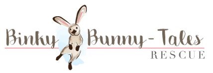 Binky Bunny Tales Rescue