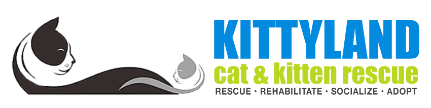 Kittyland Cat & Kitten Rescue