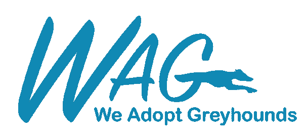We Adopt Greyhounds, Inc.