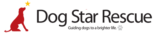 Dog Star Rescue