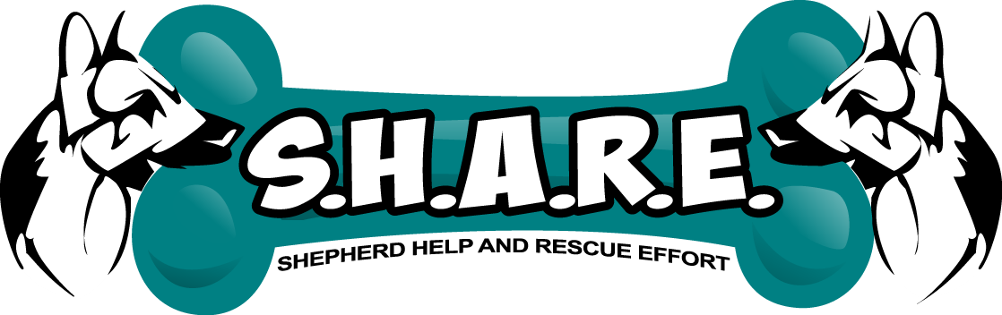 Shepherd Help And Rescue Effort