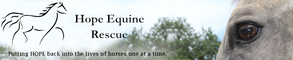 Hope Equine Rescue, Inc.