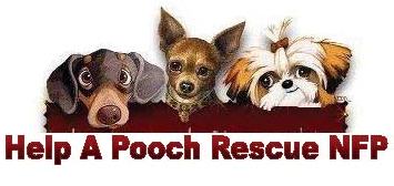 Help A Pooch Rescue Nfp