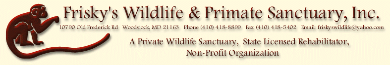 Friskys Wildlife & Primate Sanctuary Inc.