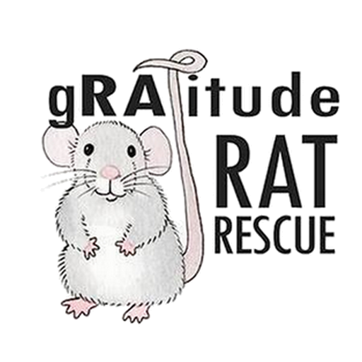 Gratitude Rat Rescue