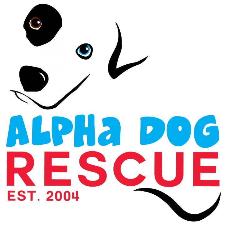 Alpha Dog Rescue