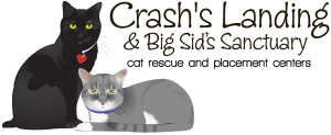 Crash's Landing Cat Rescue & Placement Center