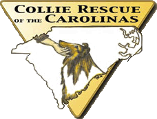 Collie Rescue Of The Carolinas