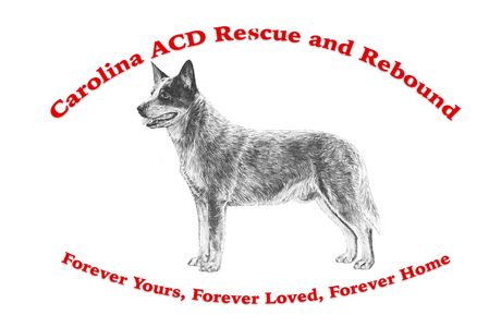 Carolina Acd Rescue & Rebound