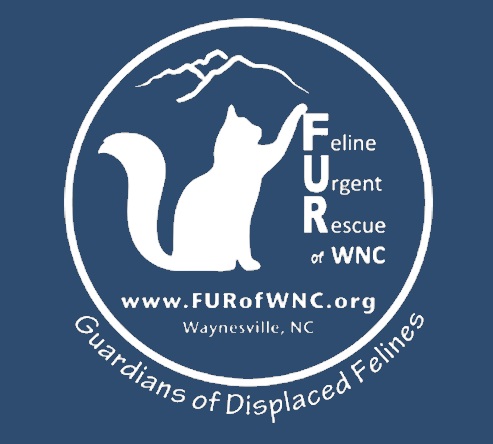Feline Urgent Rescue Of Western North Carolina