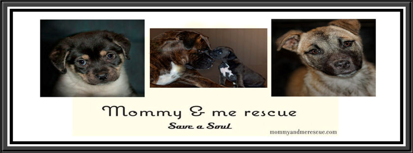 Mommy & Me Rescue