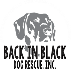 Back In Black Dog Rescue