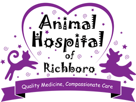 Animal Hospital Of Richboro
