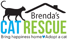 Brenda's Cat Rescue