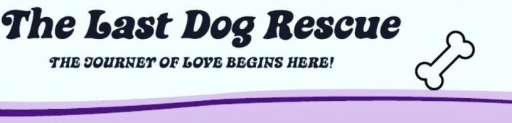 The Last Dog Rescue