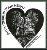 Yorkshire Terrier National Rescue, Inc.