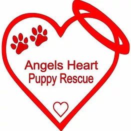 Angels Heart Puppy Rescue