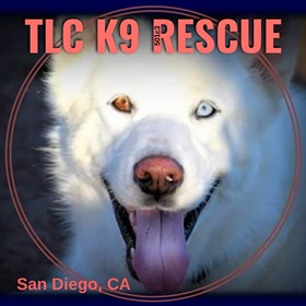 Tlc K9 Rescue