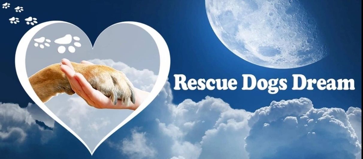 Rescue Dogs Dream, Inc